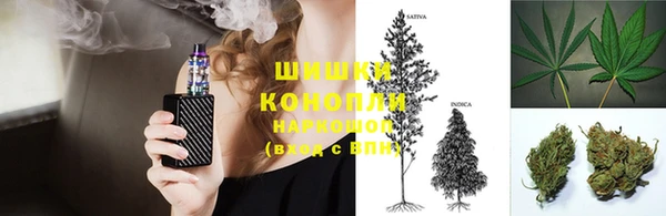 ПСИЛОЦИБИНОВЫЕ ГРИБЫ Богородицк